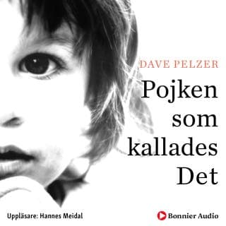 Pojken som kallades det – Dave Pelzer, ljudbokens omslag