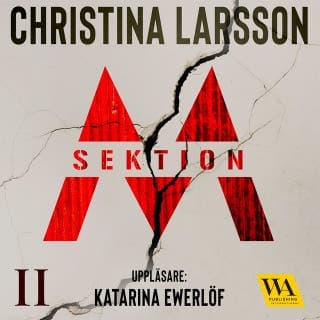 Sektion M II – Christina Larsson, ljudbokens omslag
