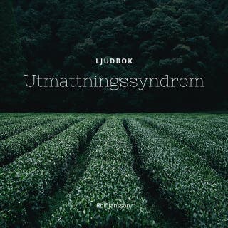 Utmattningssyndrom: återhämta dig från stress och utbrändhet – Rolf Jansson, ljudbokens omslag
