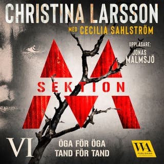 Sektion M – Öga för öga, tand för tand – Christina Larsson och Cecilia Sahlström, ljudbokens omslag