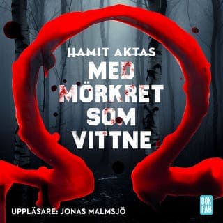 Med mörkret som vittne – Hamit Aktas, ljudbokens omslag