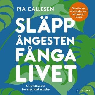 Släpp ångesten, fånga livet : övervinn oro och ängslan med metakognitiv terapi – Pia Callesen, ljudbokens omslag