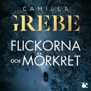 Flickorna och Mörkret – Camilla Grebe, ljudbokens omslag