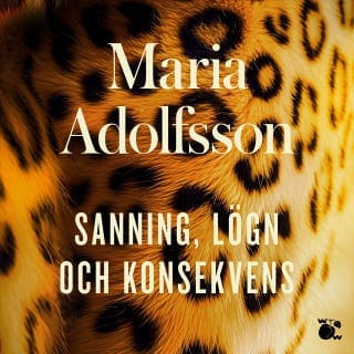 Sanning, lögn och konsekvens – Maria Adolfsson, ljudbokens omslag