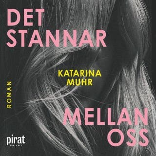 Det stannar mellan oss – Katarina Muhr, ljudbokens omslag
