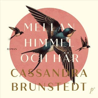 Mellan himmel och här – Cassandra Brunstedt, ljudbokens omslag