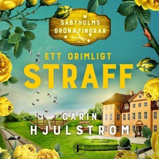 Ett orimligt straff – Carin Hjulström, ljudbokens omslag