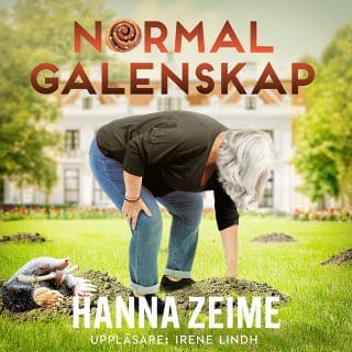 Normal galenskap – Hanna Zeime, ljudbokens omslag