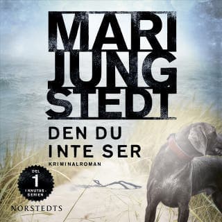 Den du inte ser – Mari Jungstedt, ljudbokens omslag