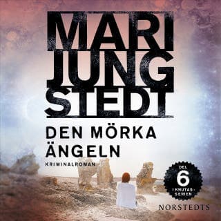 Den mörka ängeln – Mari Jungstedt, ljudbokens omslag