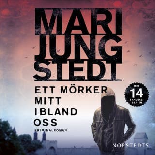 Ett mörker mitt ibland oss – Mari Jungstedt, ljudbokens omslag