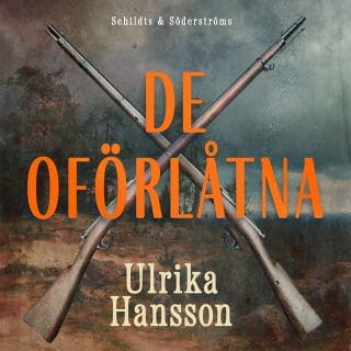 De oförlåtna – Ulrika Hansson, ljudbokens omslag