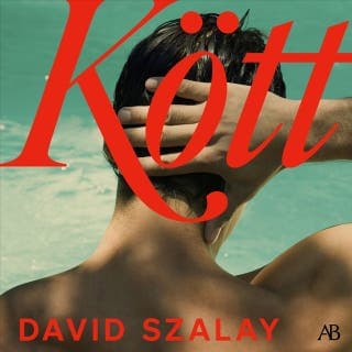 Kött – David Szalay, ljudbokens omslag