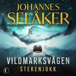 Stekenjokk – Johannes Selåker, ljudbokens omslag