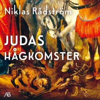 Judas hågkomster – Niklas Rådström, ljudbokens omslag