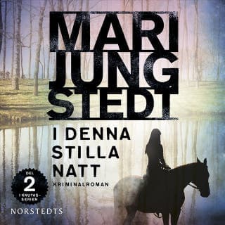 I denna stilla natt – Mari Jungstedt, ljudbokens omslag