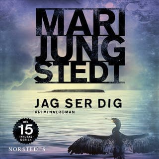 Jag ser dig – Mari Jungstedt, ljudbokens omslag