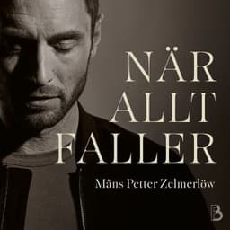 När allt faller – Måns Zelmerlöw, ljudbokens omslag