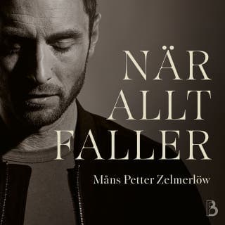 När allt faller – Måns Zelmerlöw, ljudbokens omslag