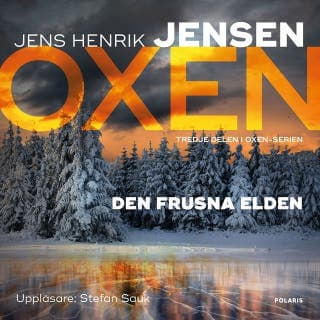 Den frusna elden – Jens Henrik Jensen, ljudbokens omslag