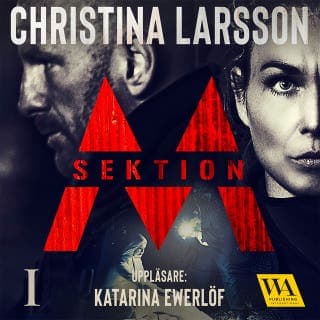 Sektion M I – Christina Larsson, ljudbokens omslag