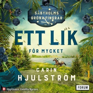 Ett lik för mycket – Carin Hjulström, ljudbokens omslag