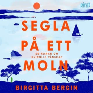 Segla på ett moln – Birgitta Bergin, ljudbokens omslag