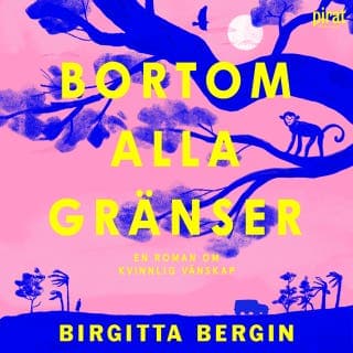 Bortom alla gränser – Birgitta Bergin, ljudbokens omslag