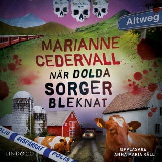 När dolda sorger bleknat – Marianne Cedervall, ljudbokens omslag