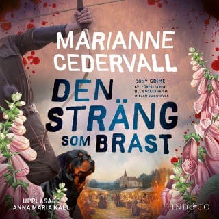 Den sträng som brast – Marianne Cedervall, ljudbokens omslag